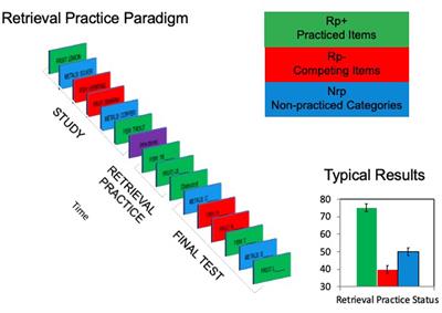 Retrieval-induced forgetting in declarative and procedural memory: Inhibitory suppression resolves interference between motor responses